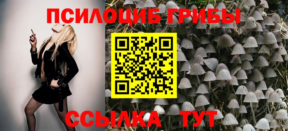 Псилоцибиновые грибы ЛСД  Вход с VPN  Узловая  Псилоцибиновые грибы прущие грибы 