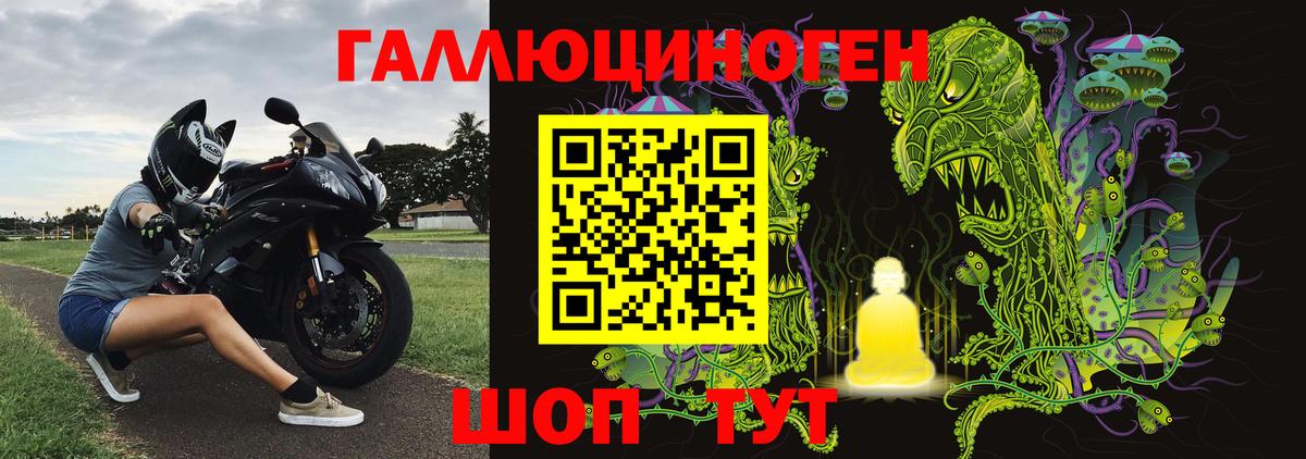 Галлюциногенные грибы Cubensis Узловая